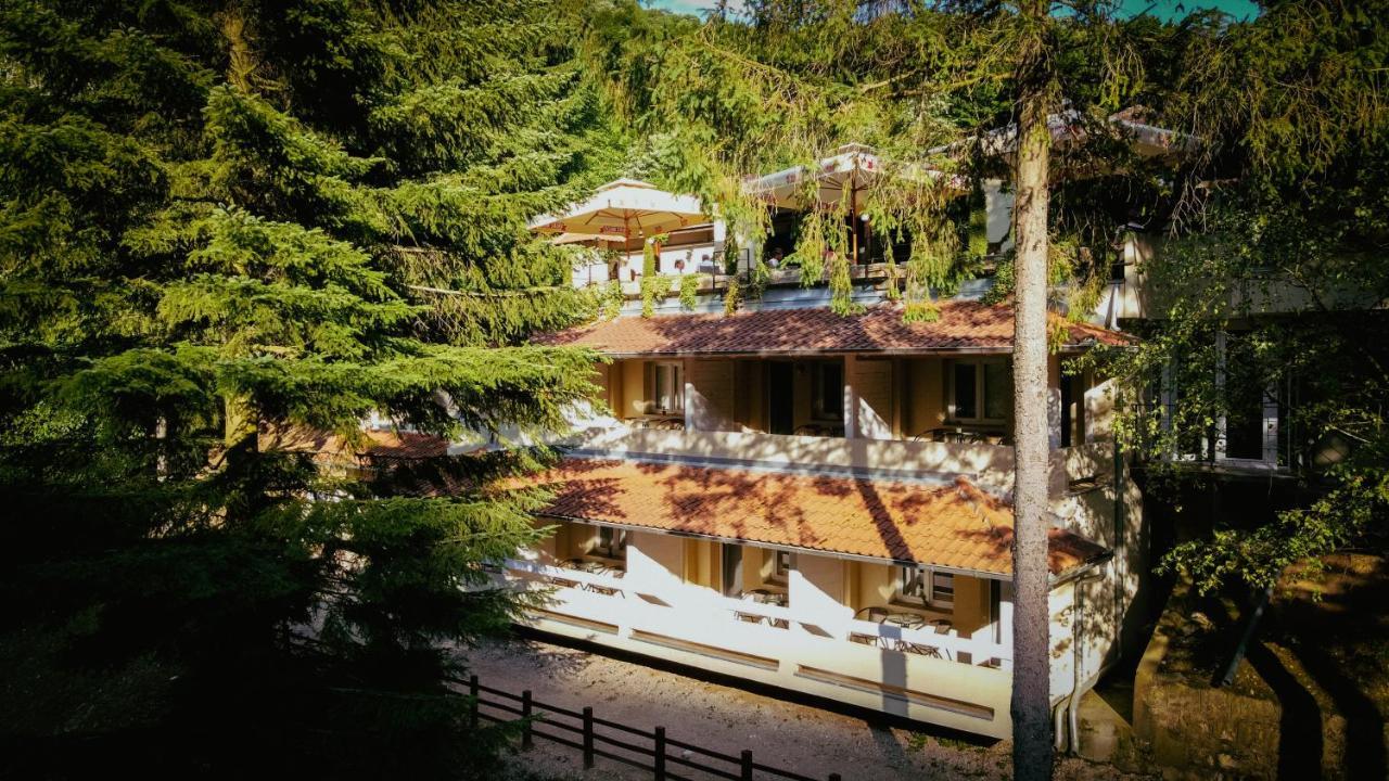 Restoran Sa Prenocistem Gornjak Krepoljin Esterno foto
