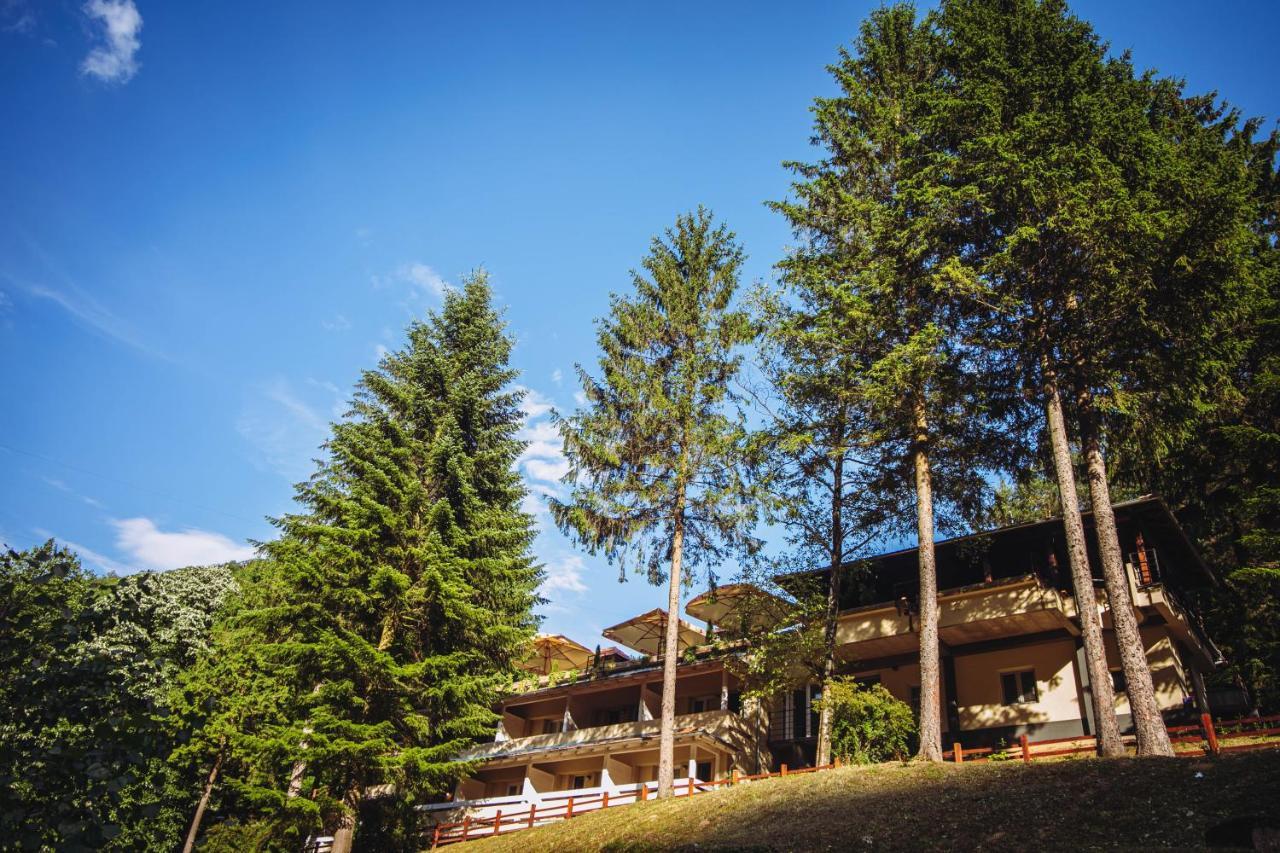 Restoran Sa Prenocistem Gornjak Krepoljin Esterno foto